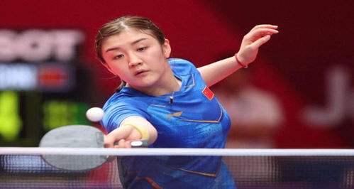 视为赛事制 视为赛事制