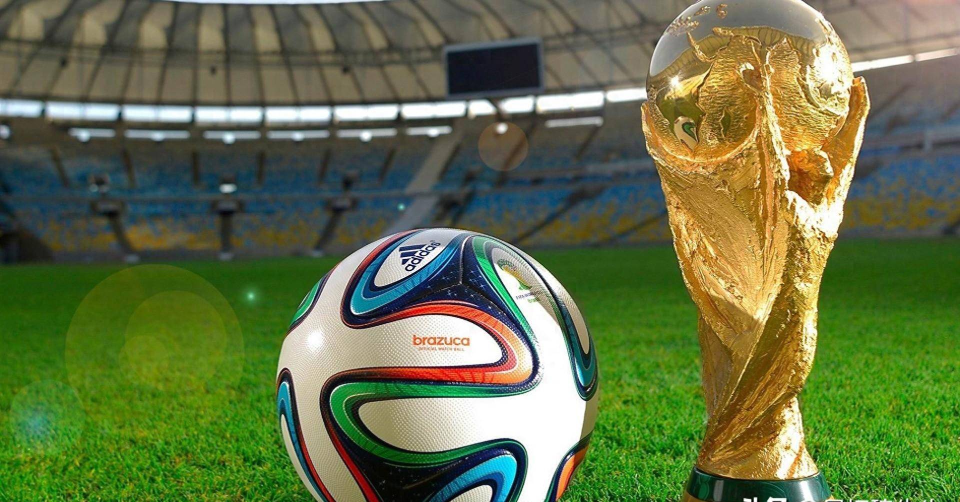 作为一名具 作为一名具