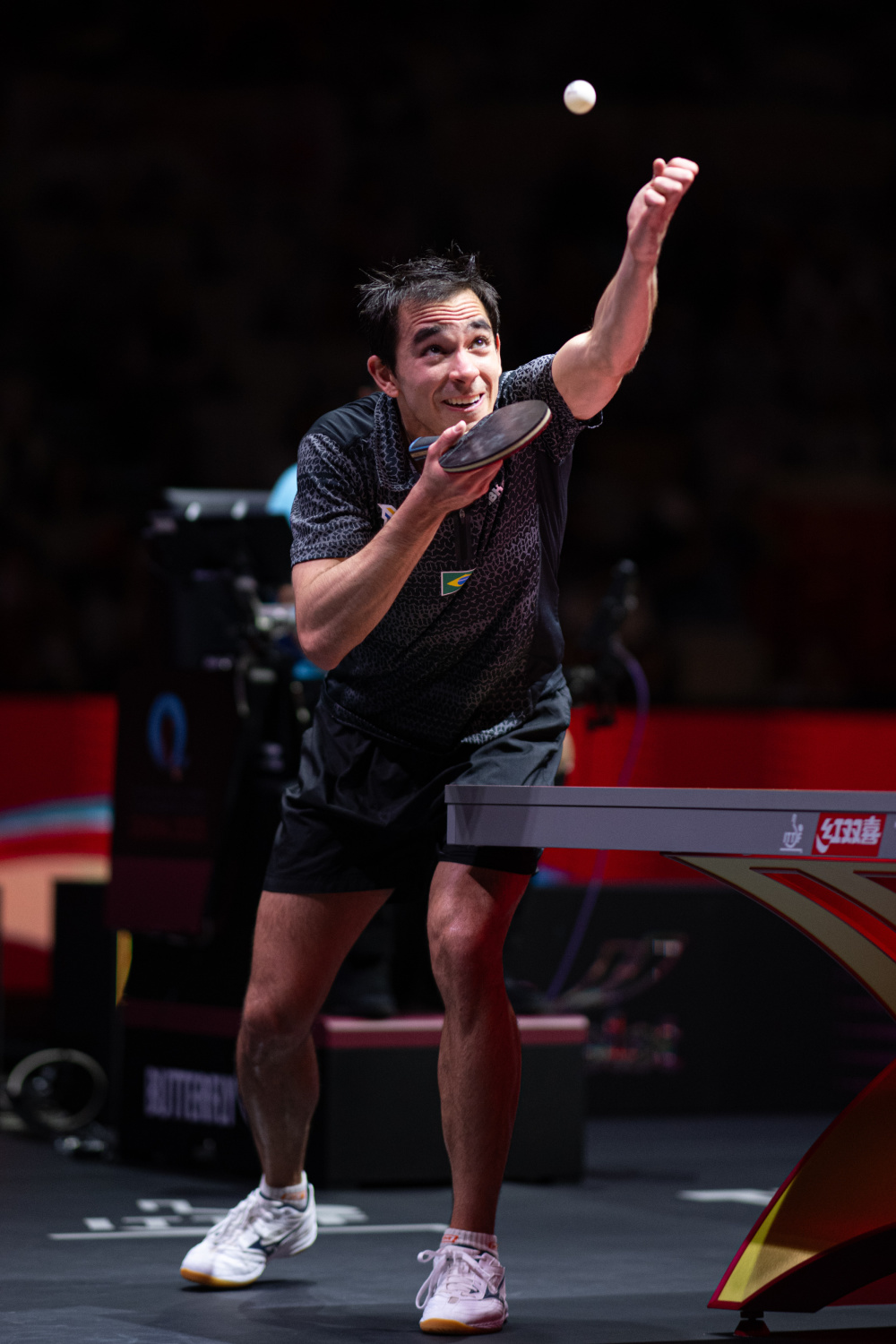 莱西德湖被 莱西德湖被