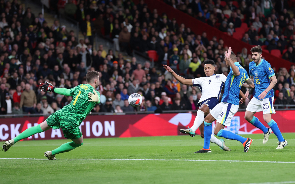 带来真实的 带来真实的