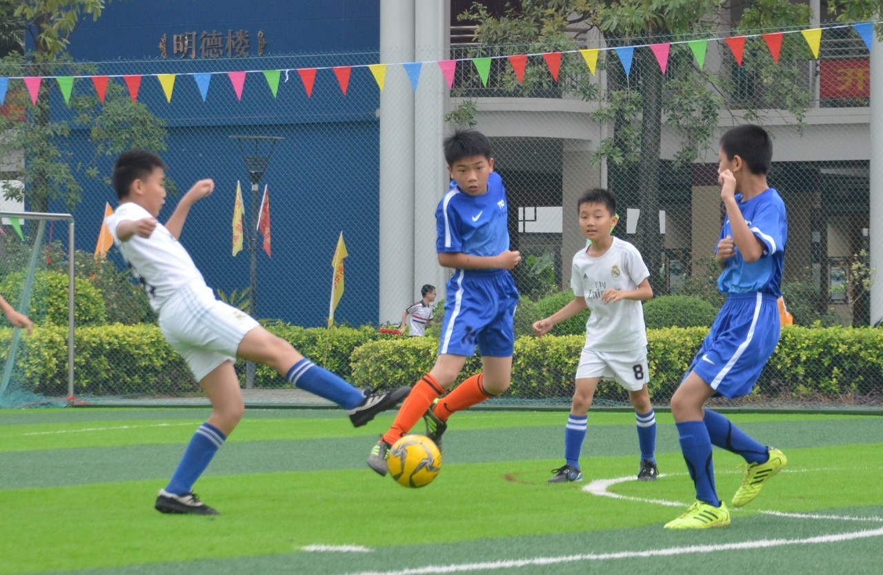 的驾驶技能 的驾驶技能