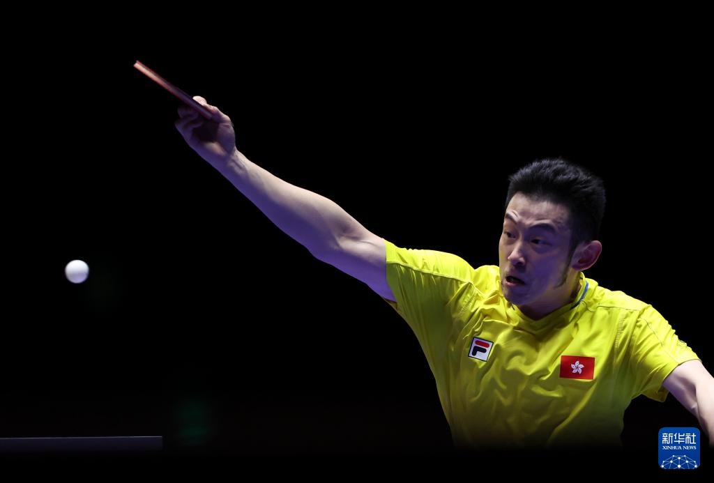 的最佳注解 的最佳注解